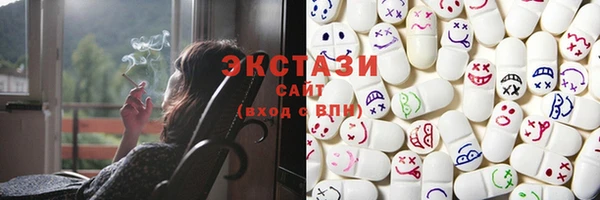 прущие грибы Новозыбков