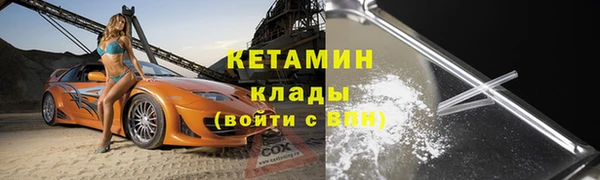 прущие грибы Новозыбков