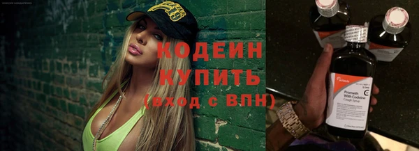 прущие грибы Новозыбков