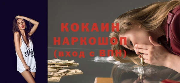 прущие грибы Новозыбков