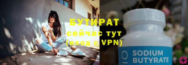 прущие грибы Новозыбков