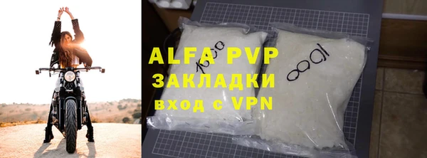 прущие грибы Новозыбков