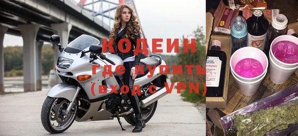 прущие грибы Новозыбков