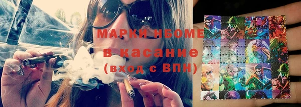 прущие грибы Новозыбков