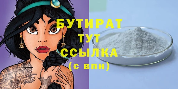 прущие грибы Новозыбков