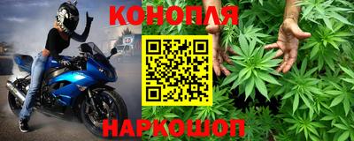 индика Дубна
