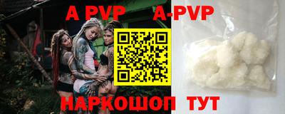 индика Дубна