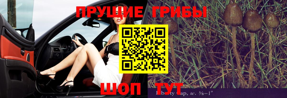 Галлюциногенные грибы GOLDEN TEACHER  где купить наркотик  Кировск  Вход с VPN 